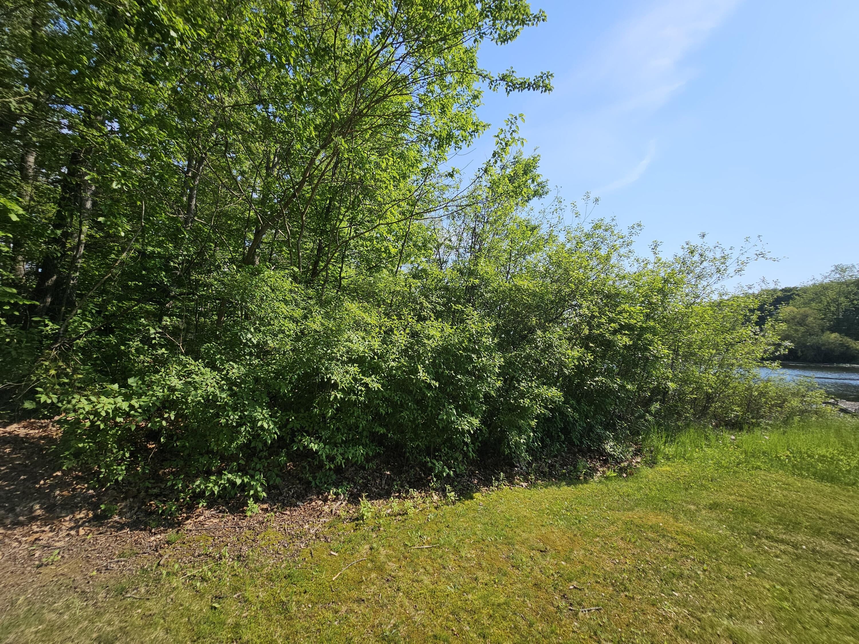 5350 Eze Street Reading, MI 49274 - Photo 15 of 36 1000039240