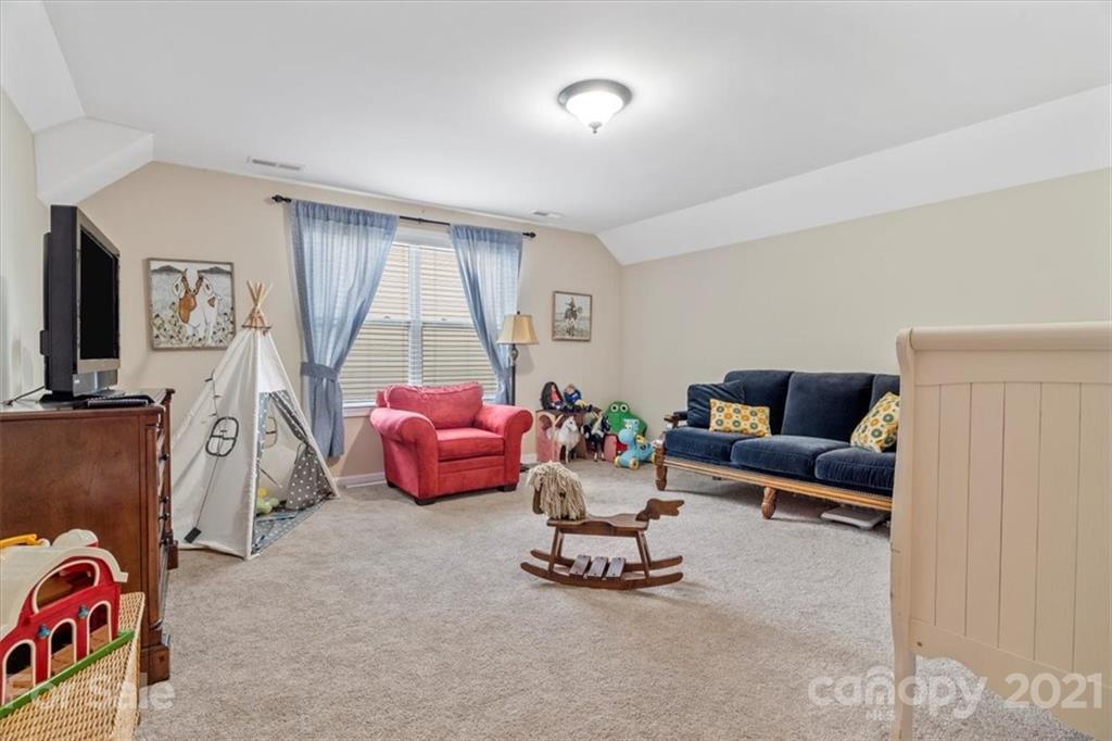79067 Ridgehaven Road Lancaster, SC 29720 - Photo 21 of 38 a living room with furniture and a flat screen tv