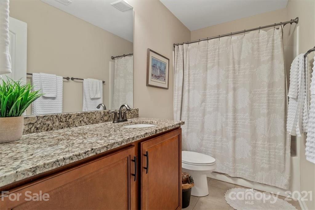 79067 Ridgehaven Road Lancaster, SC 29720 - Photo 22 of 38 a bathroom with a granite countertop sink a toilet and a shower