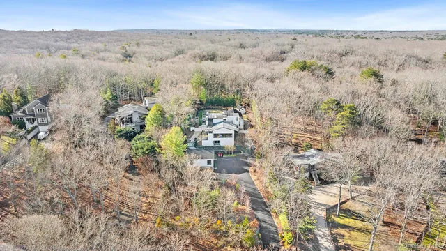 a view of a patio with couches chairs and a potted plant