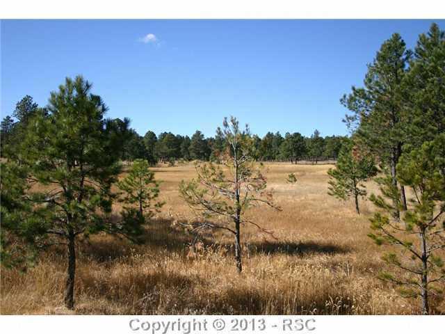 Vollmer Road Colorado Springs, CO 80908 - Photo 5 of 5