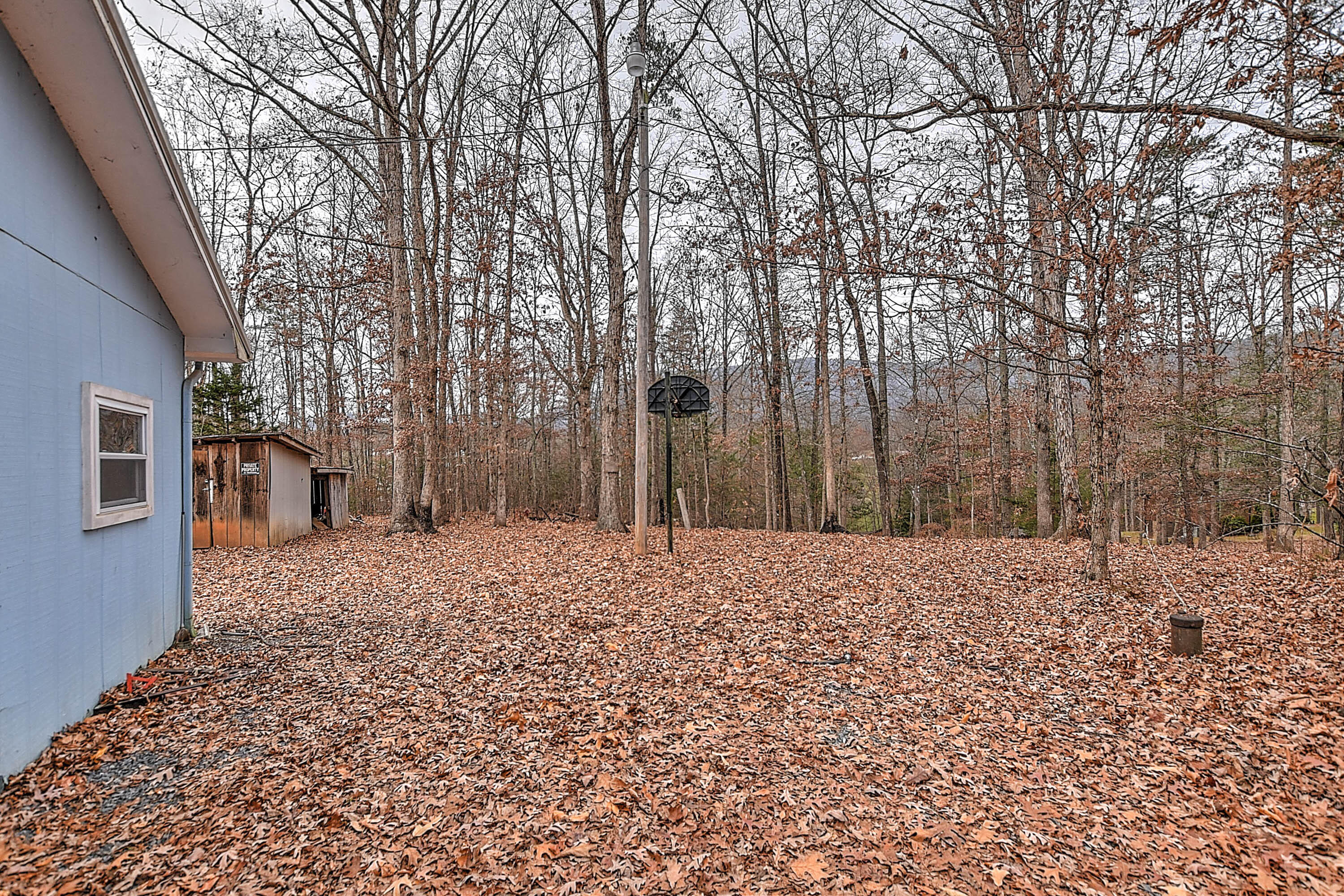 255 Sea Road Newport, TN 37821 - Photo 22 of 37 Sea Way-22