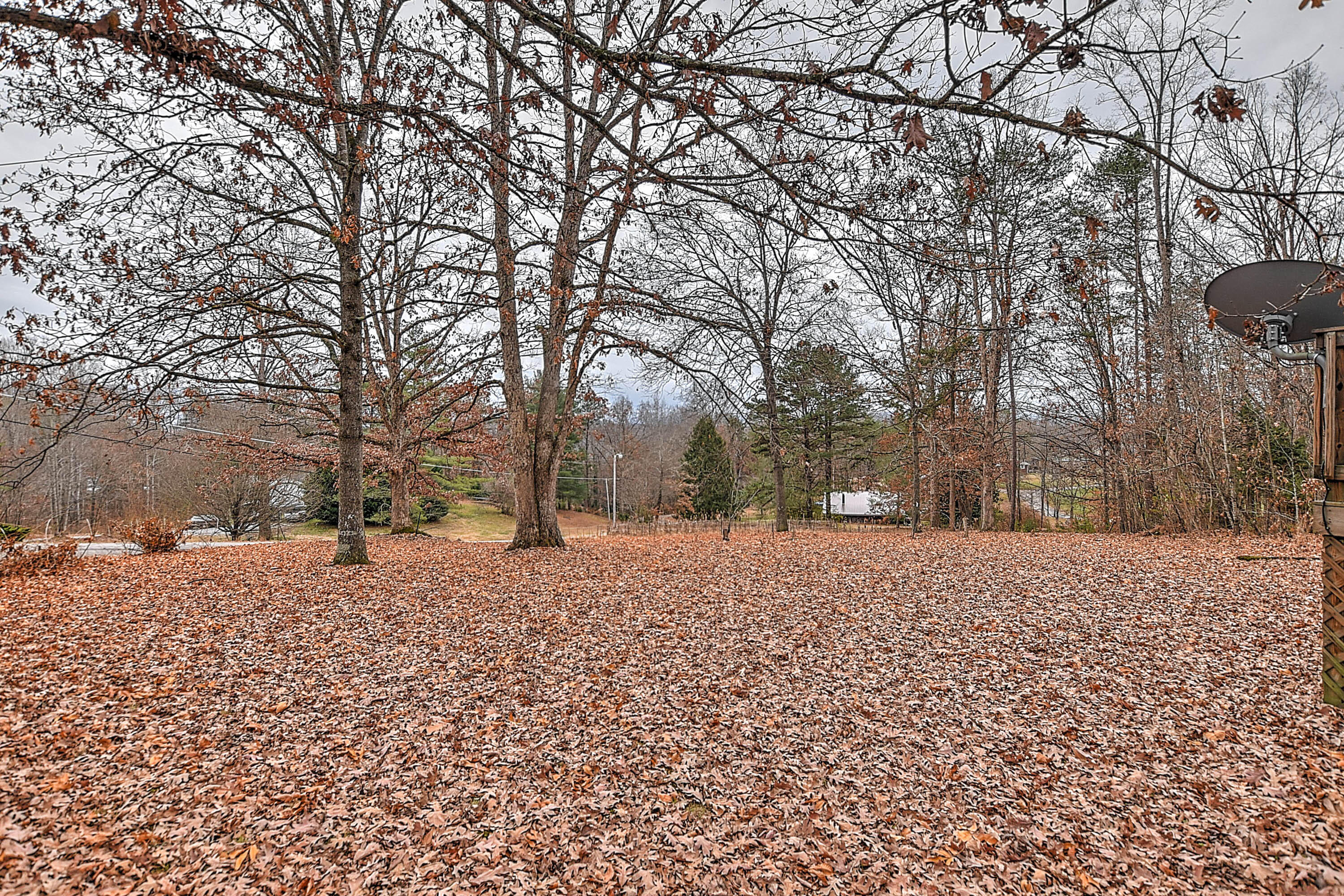 255 Sea Road Newport, TN 37821 - Photo 23 of 37 Sea Way-23