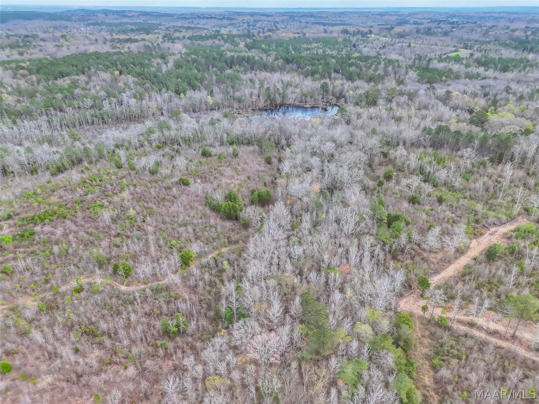 0 Brownin Road Ralph, AL 35480 - Photo 18 of 19 Gallery Image 18
