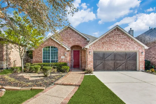 a view of backyard with potted plants and a large tree
