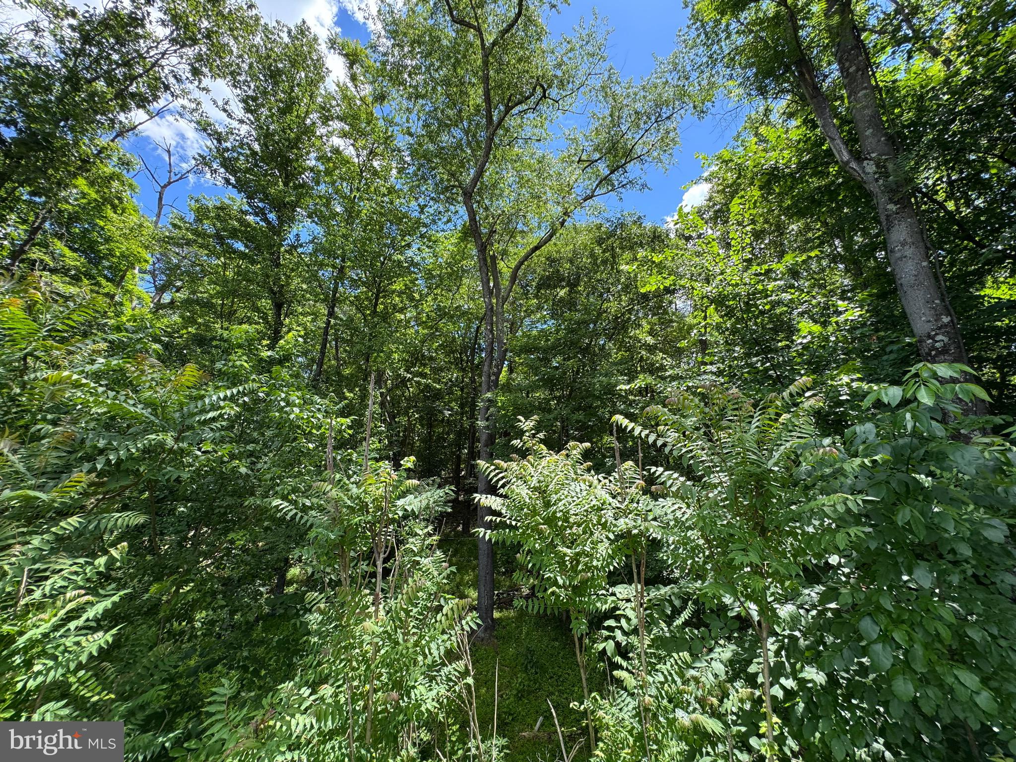 Sand Mine Road, Unit 9 Berkeley Springs, WV 25411 - Photo 14 of 17