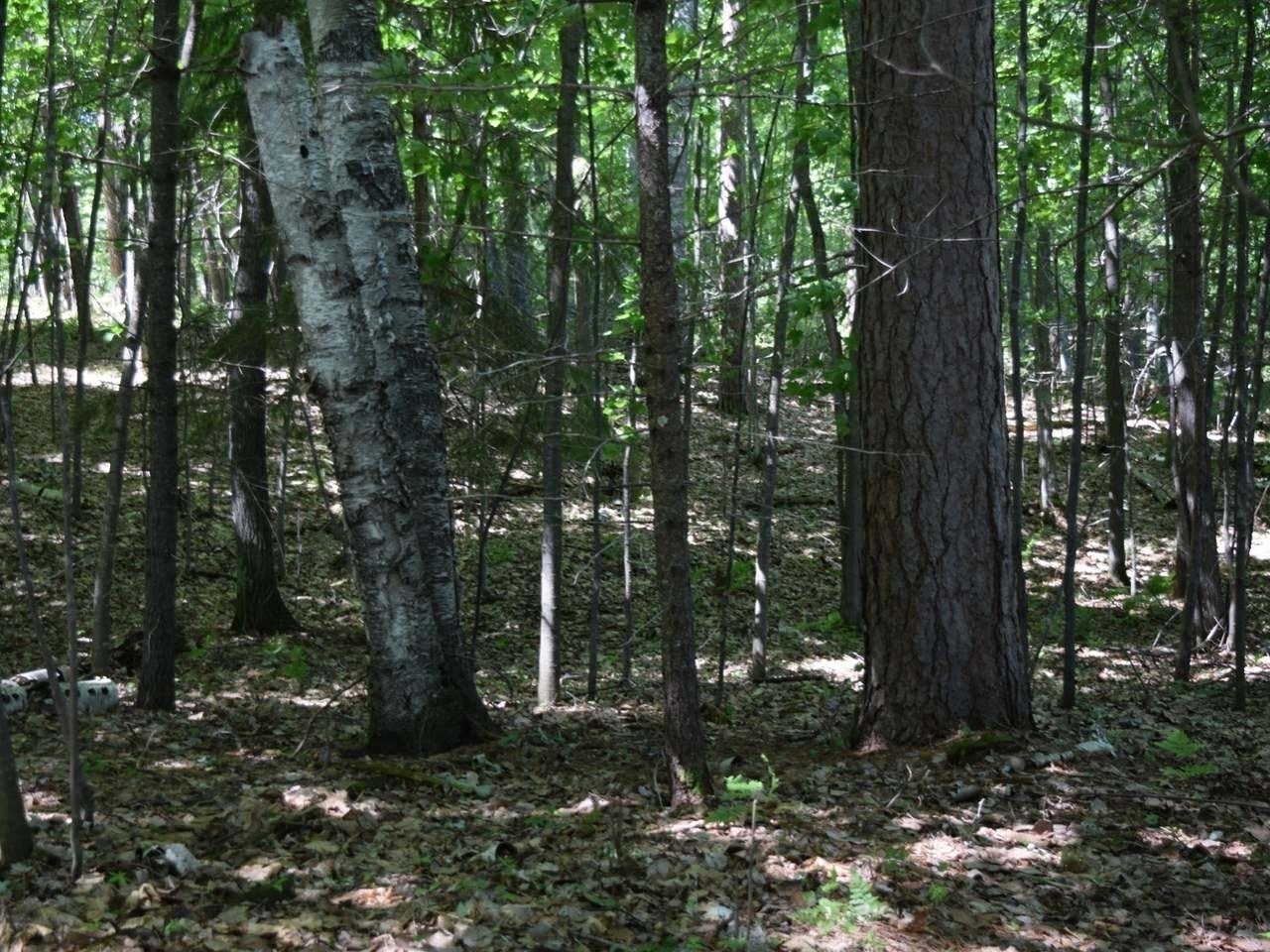 On On Cth C, Unit LOT 2 Rhinelander, WI 54501 - Photo 20 of 25 Gallery Image 20