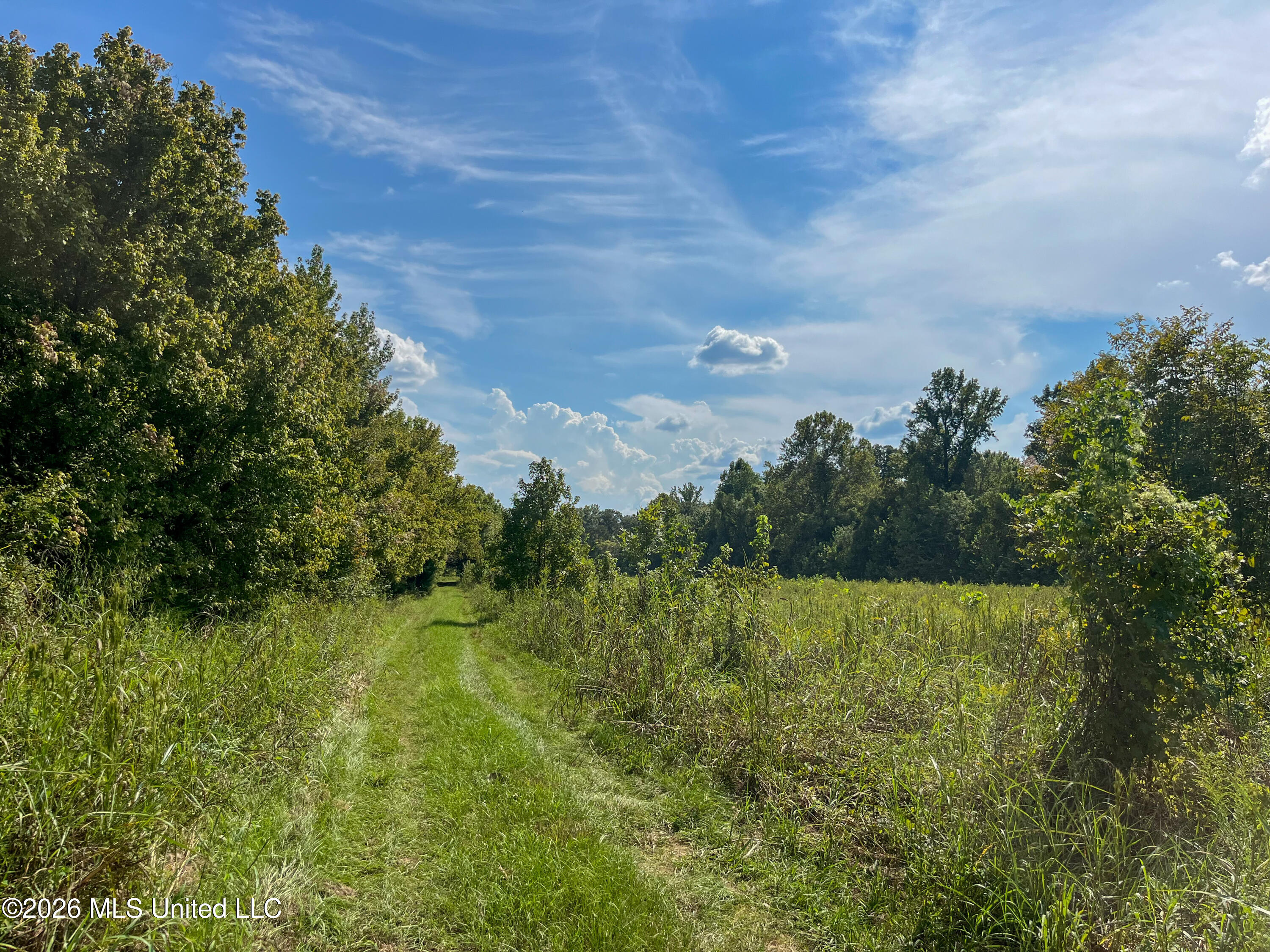 5163 Cox Ferry Road Bentonia, MS 39040 - Photo 25 of 78 IMG_4996