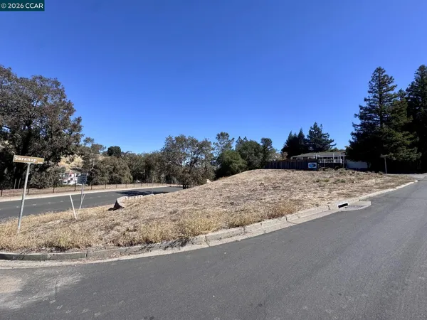 a view of a road with a yard
