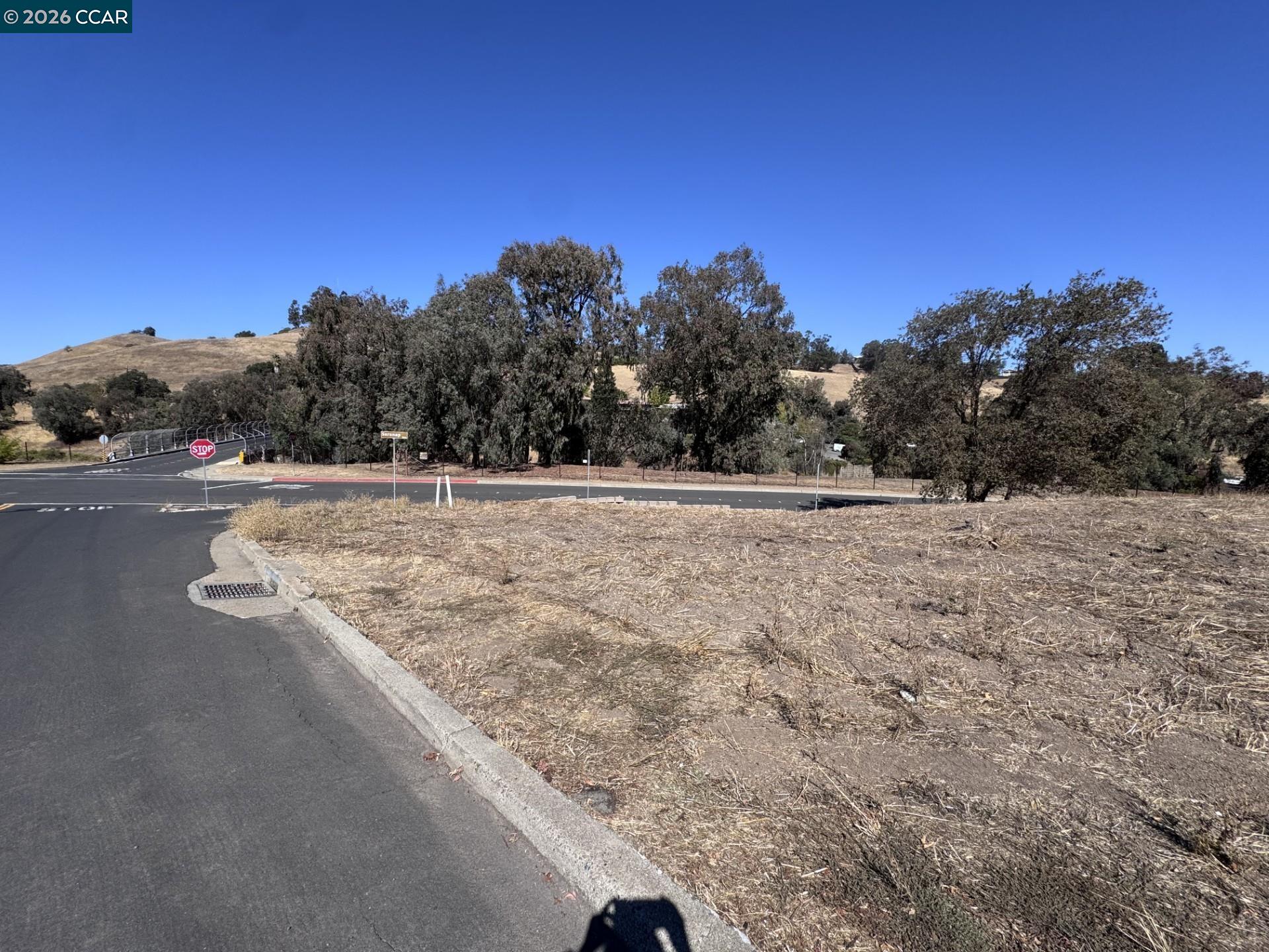 Gladys Court Lafayette, CA 94549 - Photo 5 of 6