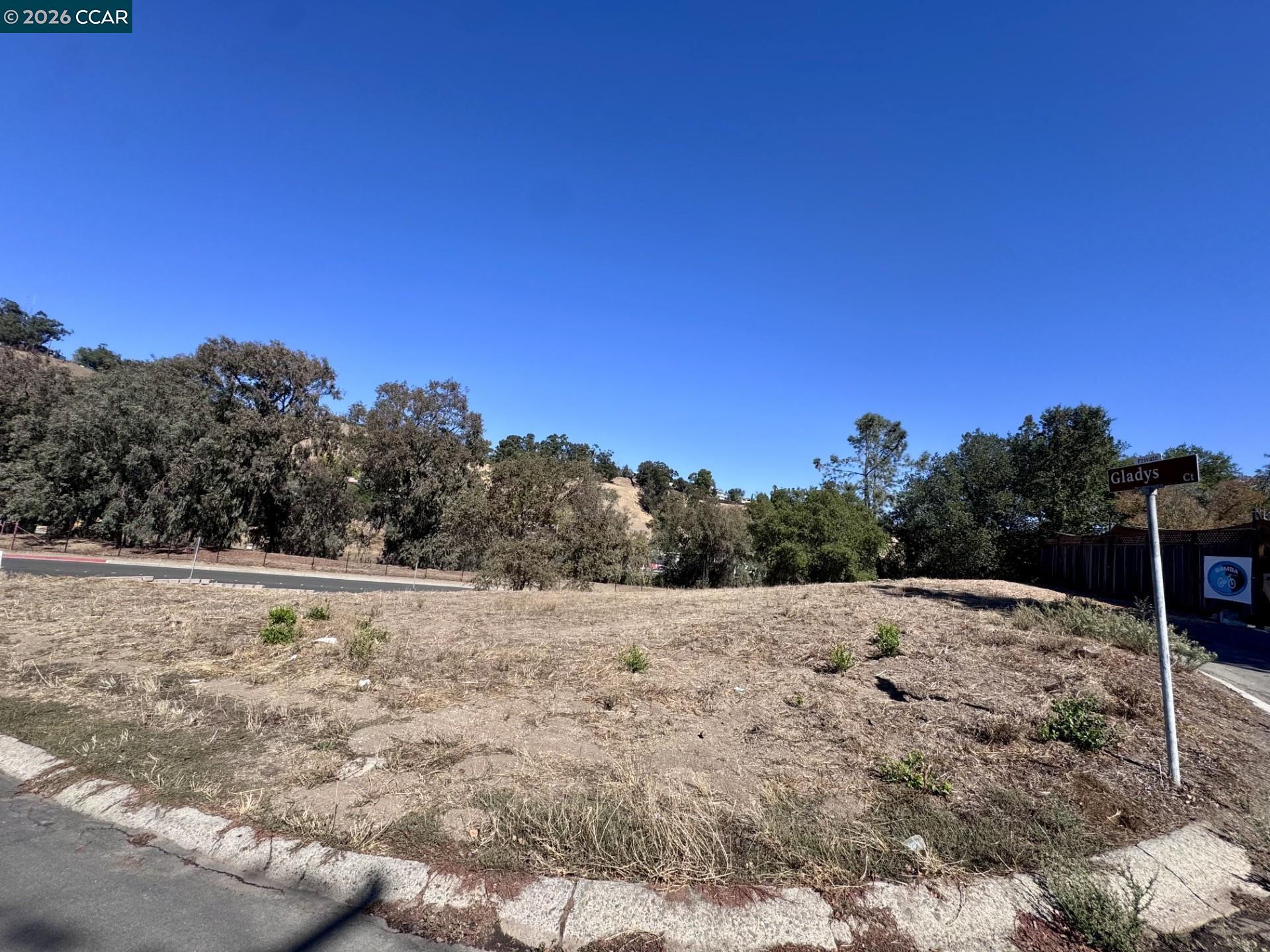 Gladys Court Lafayette, CA 94549 - Photo 5 of 7 a view of mountain view with trees