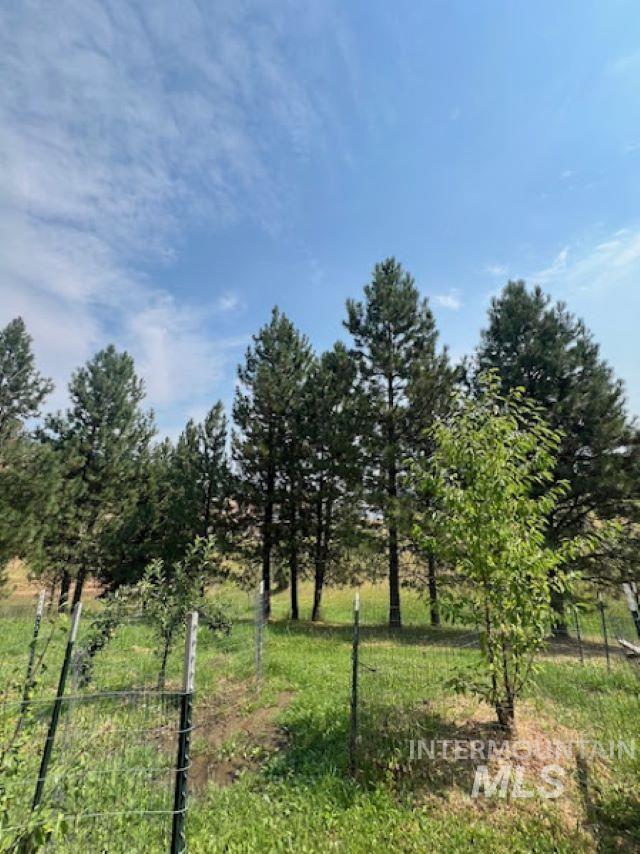 110 Liberty Lane Kamiah, ID 83536 - Photo 25 of 30