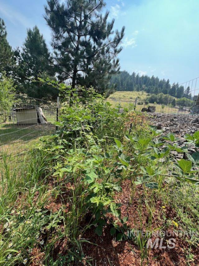 110 Liberty Lane Kamiah, ID 83536 - Photo 28 of 30