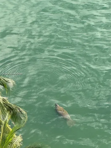 $869,000 | 1155 Brickell Bay Drive, Unit 2004, Miami, FL 33131