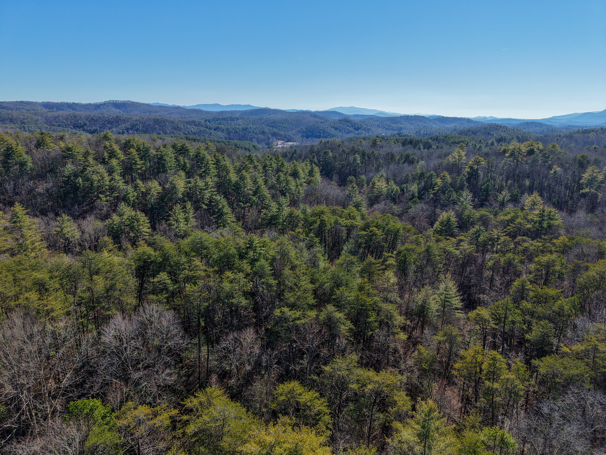 0 Maple Springs Road Tellico Plains, TN 37385 - Photo 1 of 33