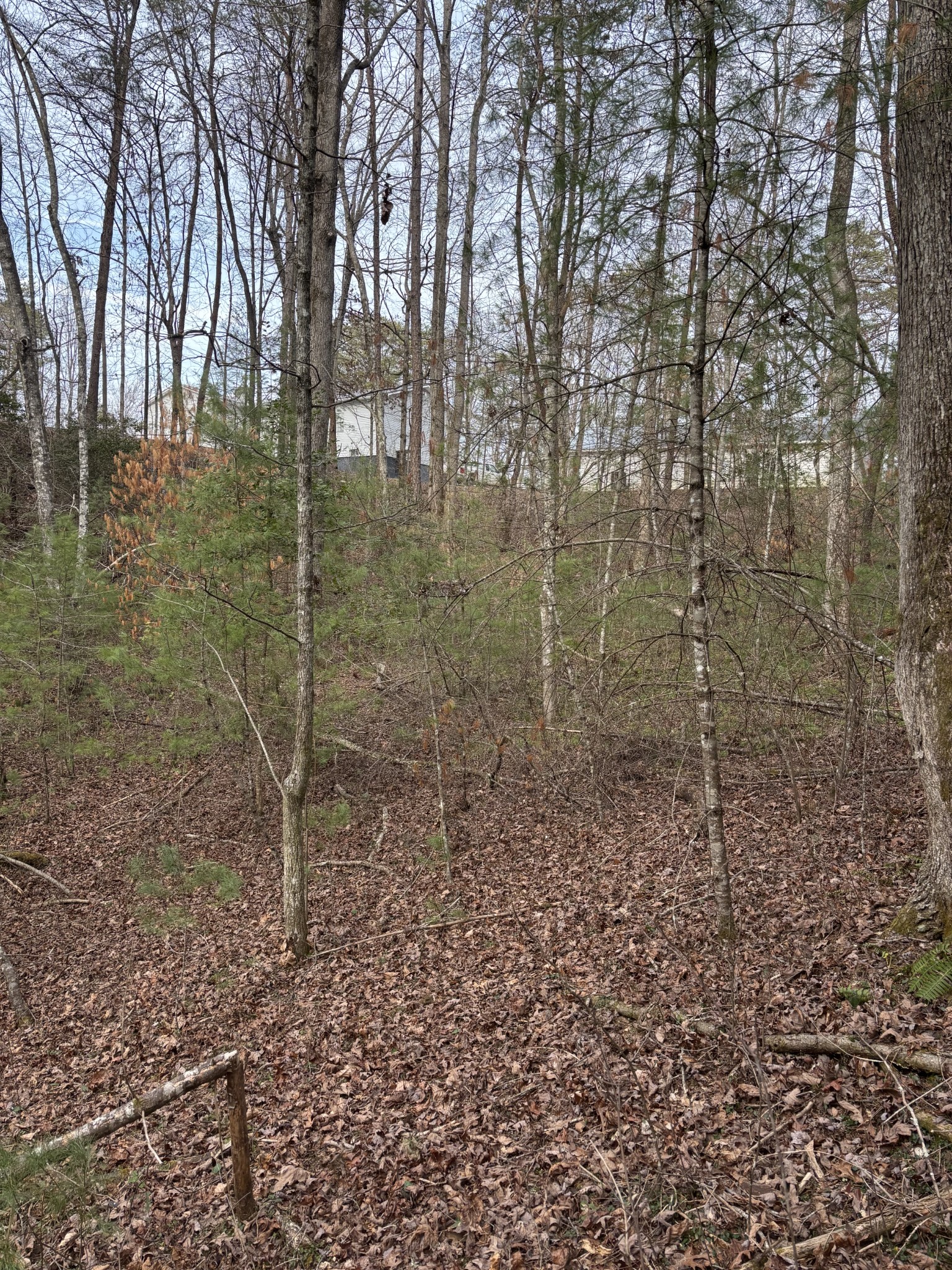 0 Maple Springs Road Tellico Plains, TN 37385 - Photo 27 of 33
