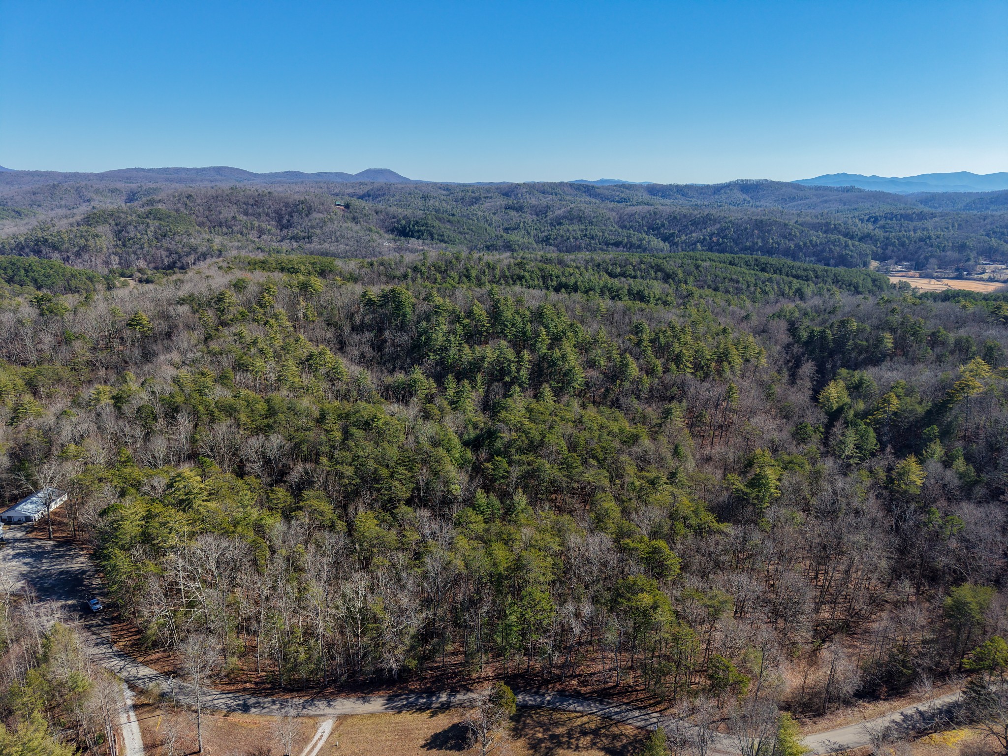 0 Maple Springs Road Tellico Plains, TN 37385 - Photo 3 of 33