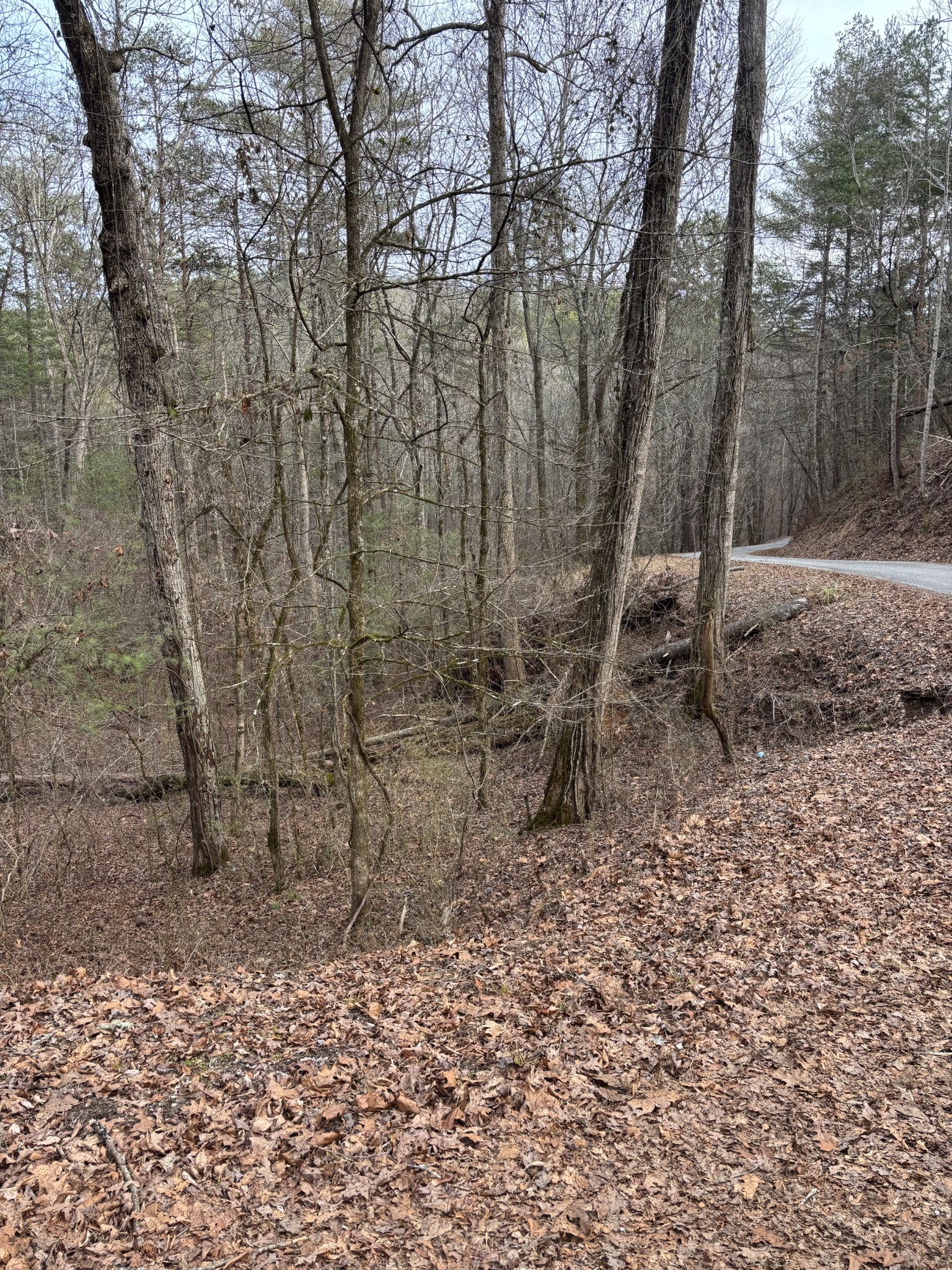 0 Maple Springs Road Tellico Plains, TN 37385 - Photo 31 of 33