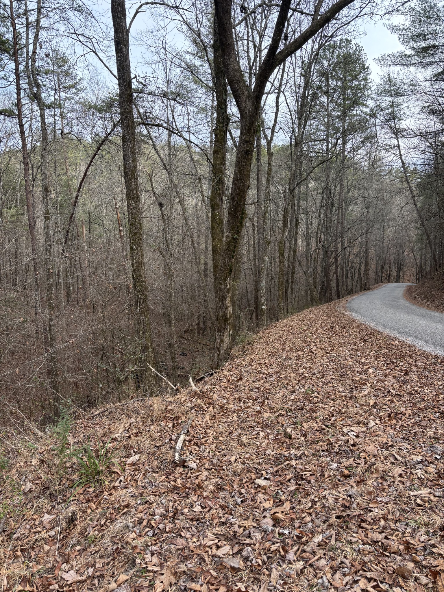 0 Maple Springs Road Tellico Plains, TN 37385 - Photo 32 of 33