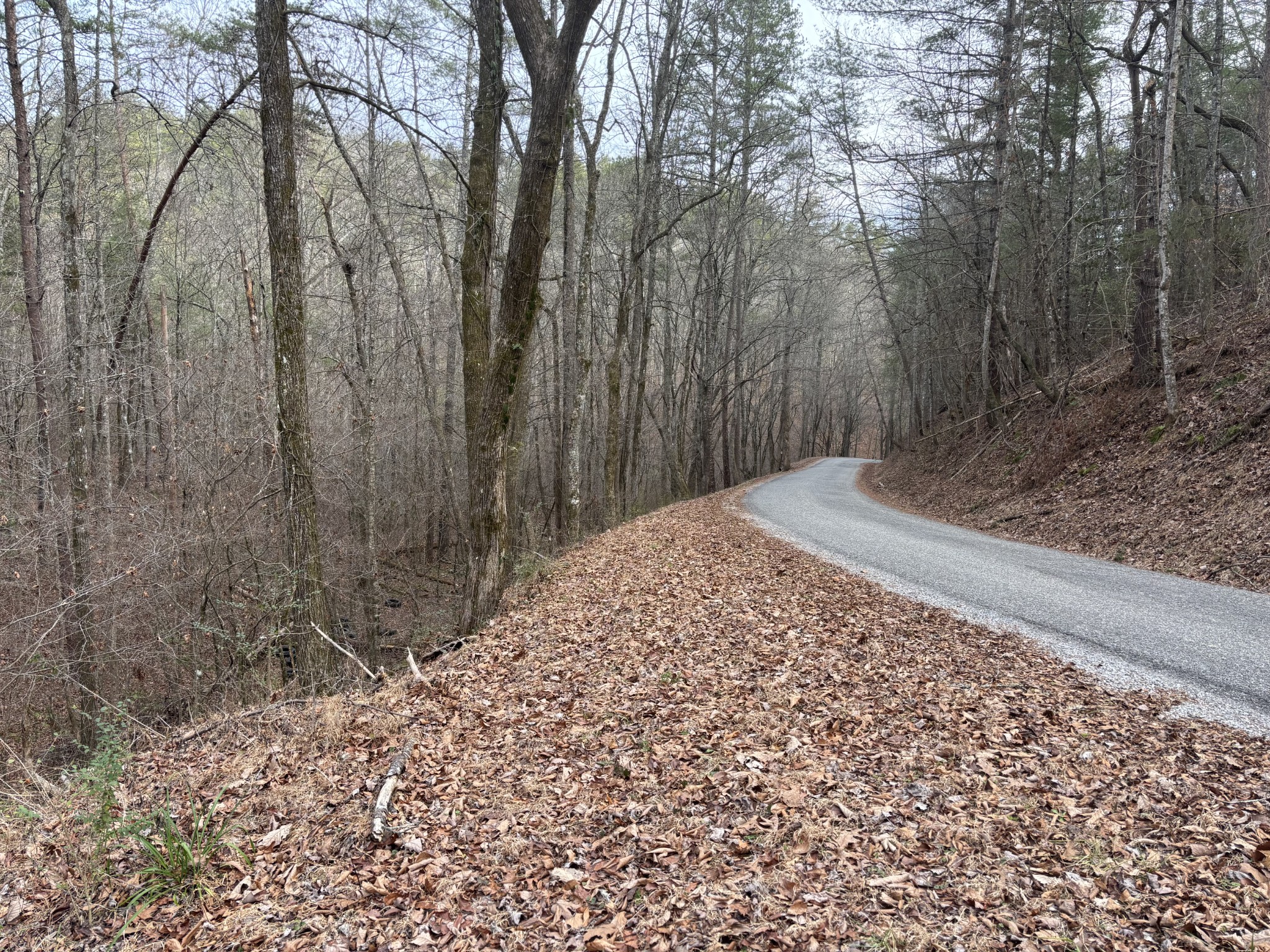 0 Maple Springs Road Tellico Plains, TN 37385 - Photo 33 of 33