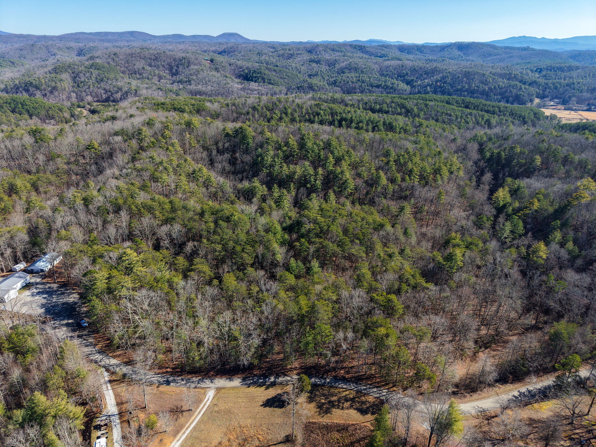 0 Maple Springs Road Tellico Plains, TN 37385 - Photo 4 of 33