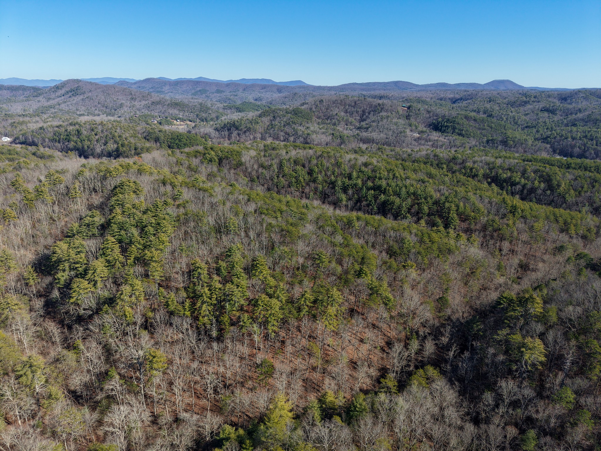 0 Maple Springs Road Tellico Plains, TN 37385 - Photo 5 of 33