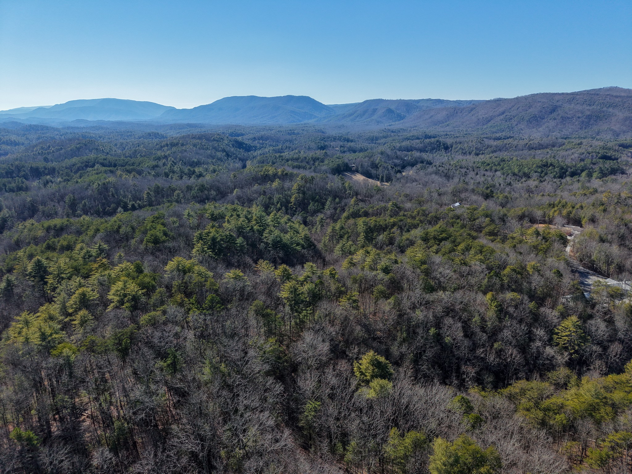 0 Maple Springs Road Tellico Plains, TN 37385 - Photo 6 of 33