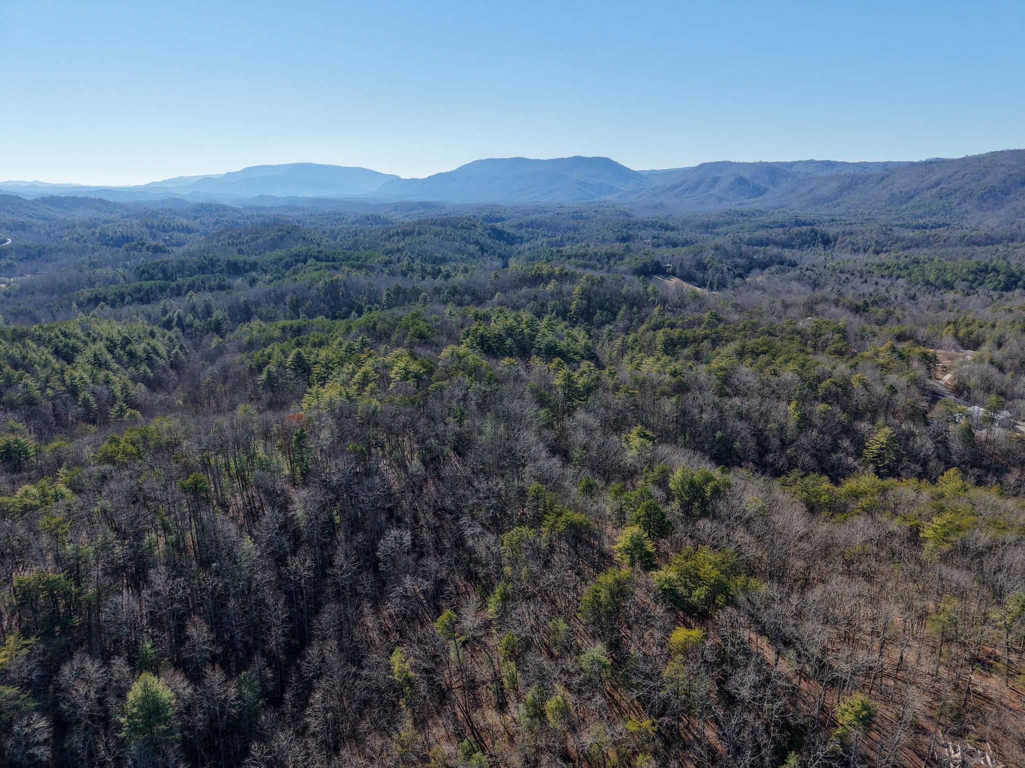 0 Maple Springs Road Tellico Plains, TN 37385 - Photo 7 of 33