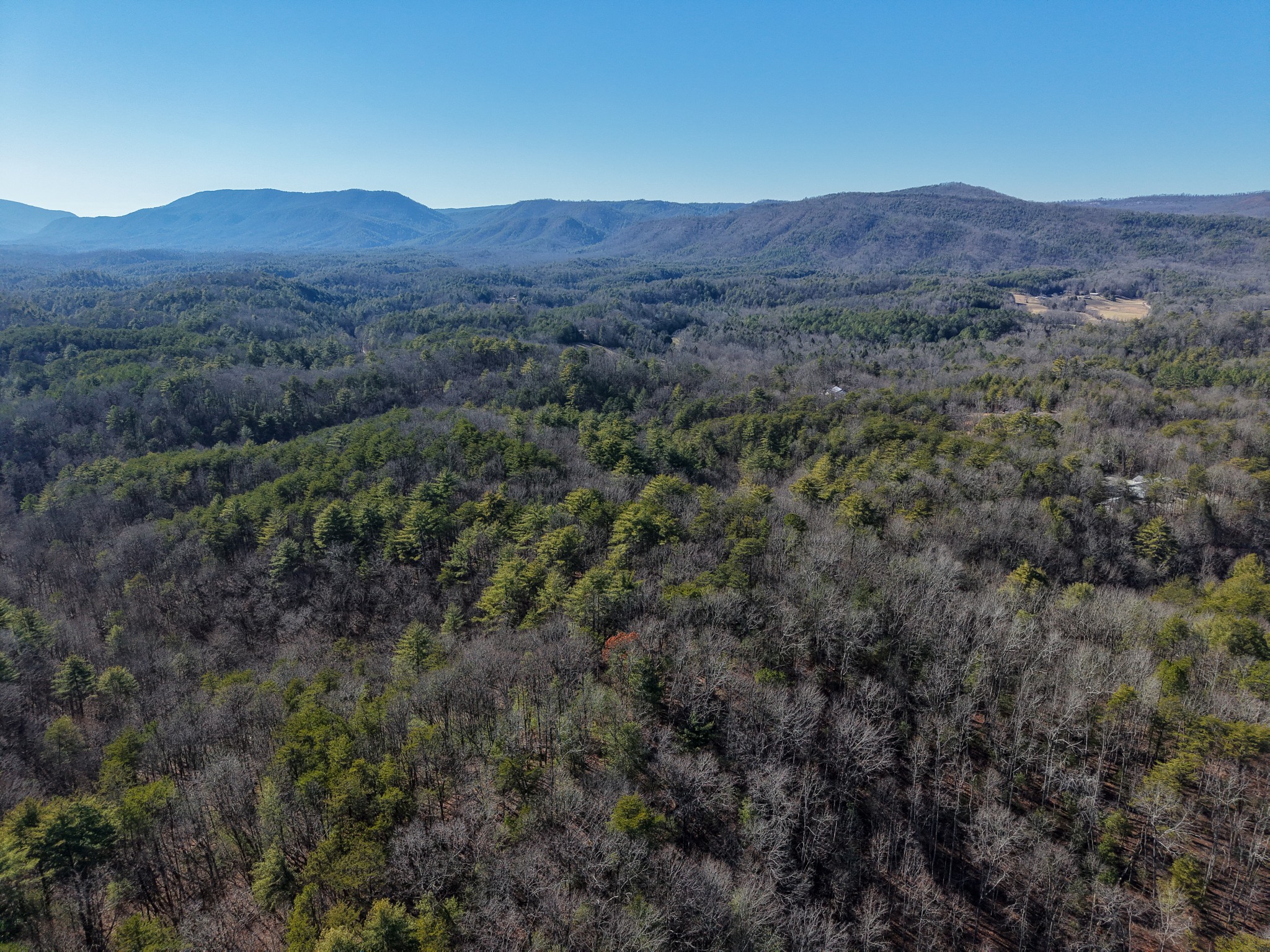 0 Maple Springs Road Tellico Plains, TN 37385 - Photo 8 of 33