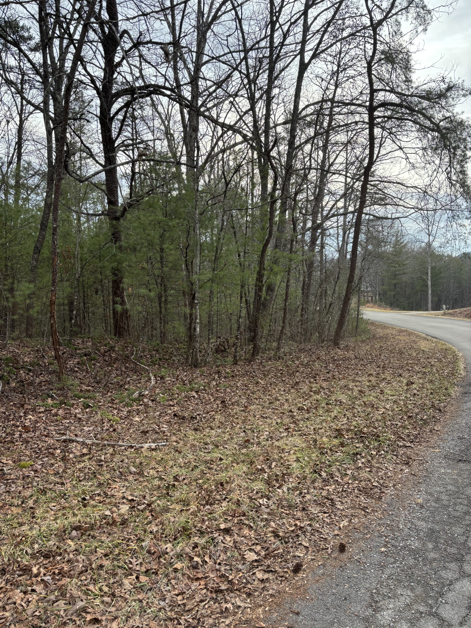 0 Maple Springs Road Tellico Plains, TN 37385 - Photo 9 of 33