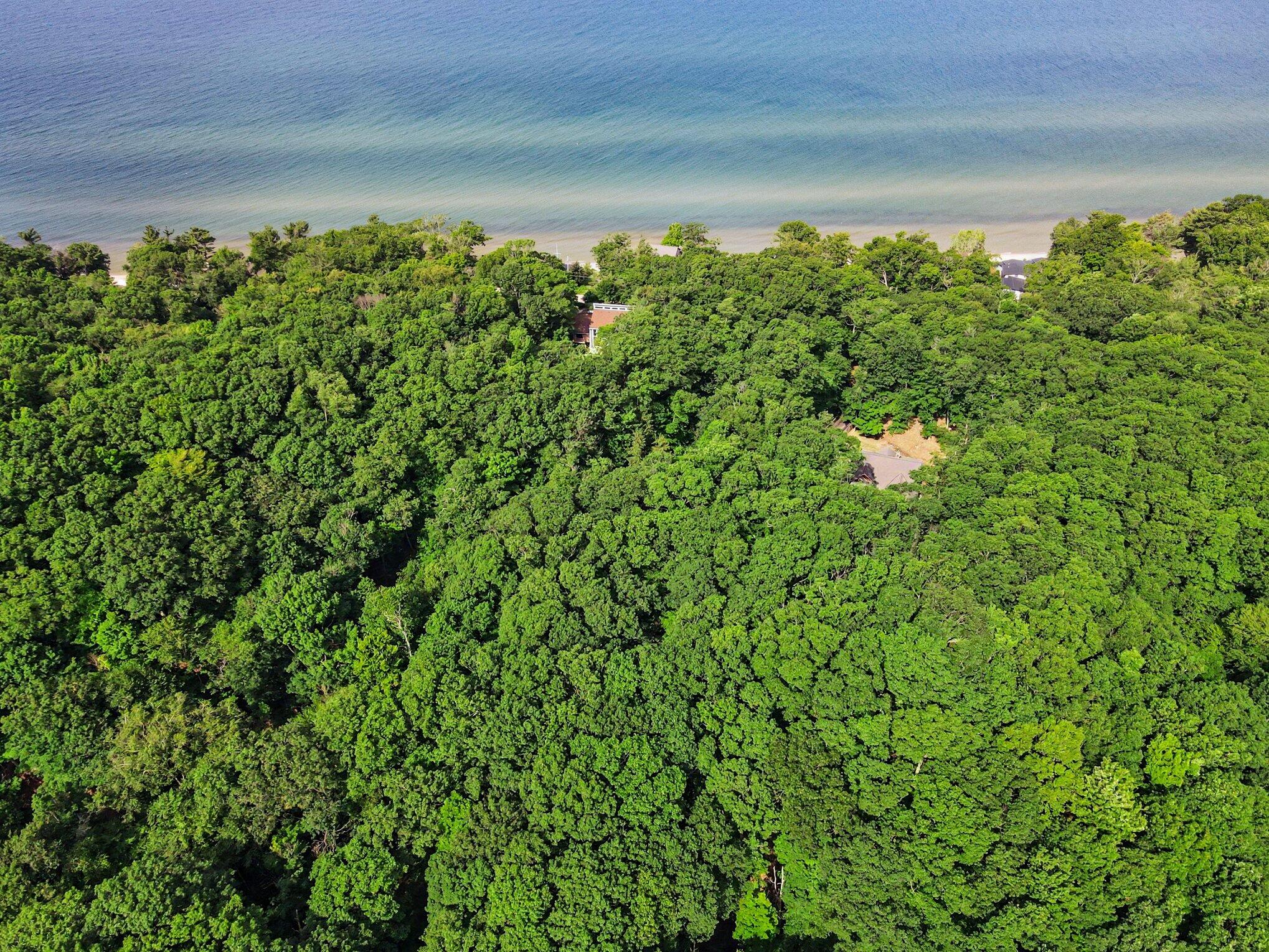 18240 North Shore Estates Road Spring Lake, MI 49456 - Photo 56 of 64 Aerial View