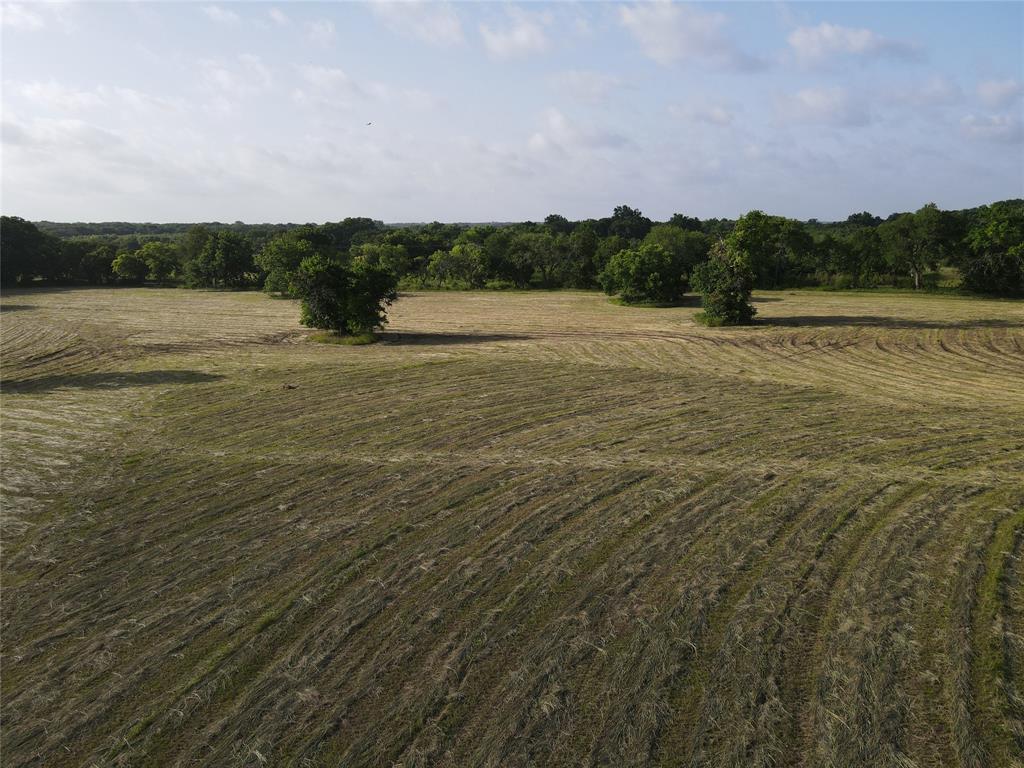 Seven Seven Oaks Road Bonham, TX 75418 - Photo 8 of 21