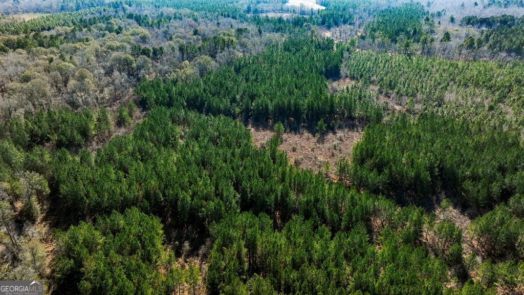 0 Crooked Road, Unit TRACT 1 Millen, GA 30442 - Photo 6 of 33