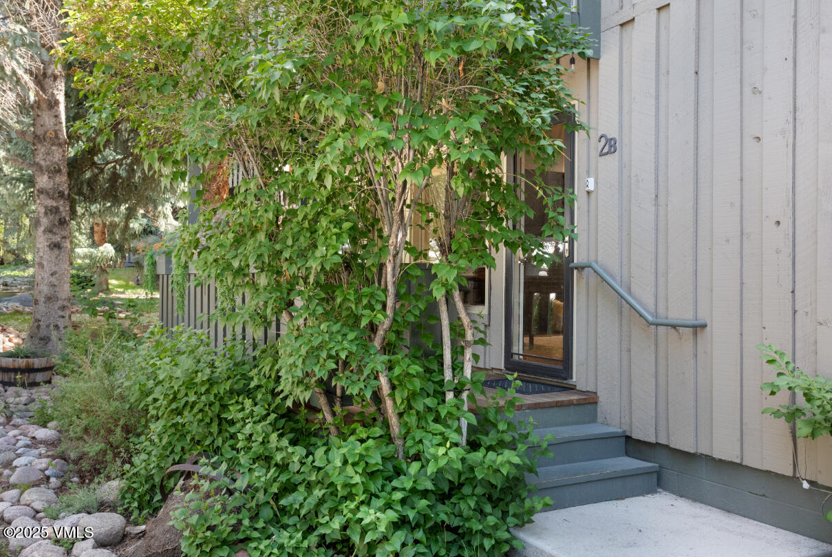 909 Red Sandstone Road, Unit B2 Vail, CO 81657 - Photo 23 of 24 a view of a pathway with plants