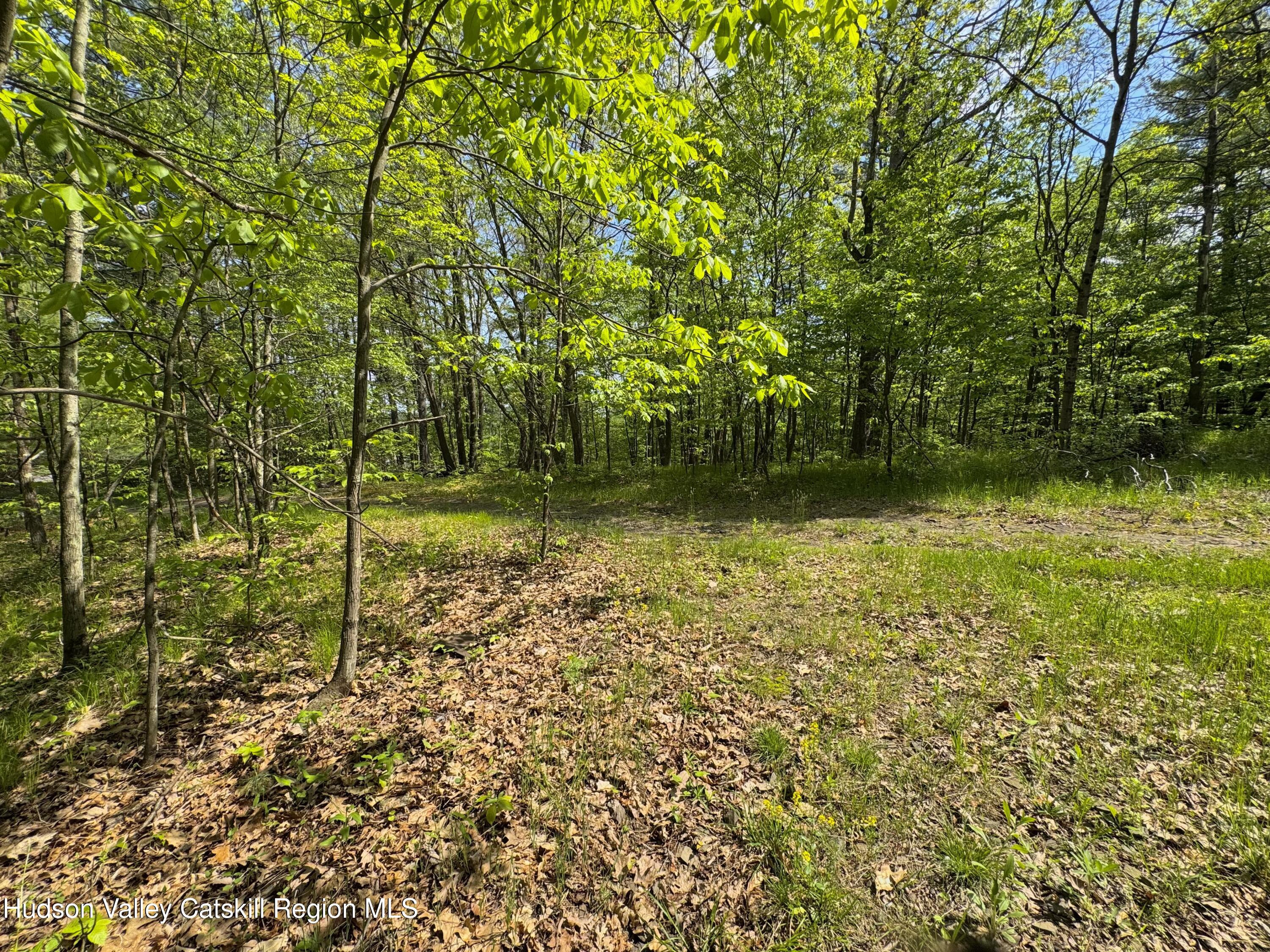 Tbd Bill Matter Road Climax, NY 12042 - Photo 8 of 16 a view of a garden