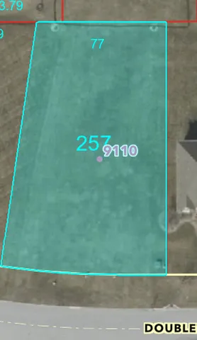 a view of a big yard with potted plants