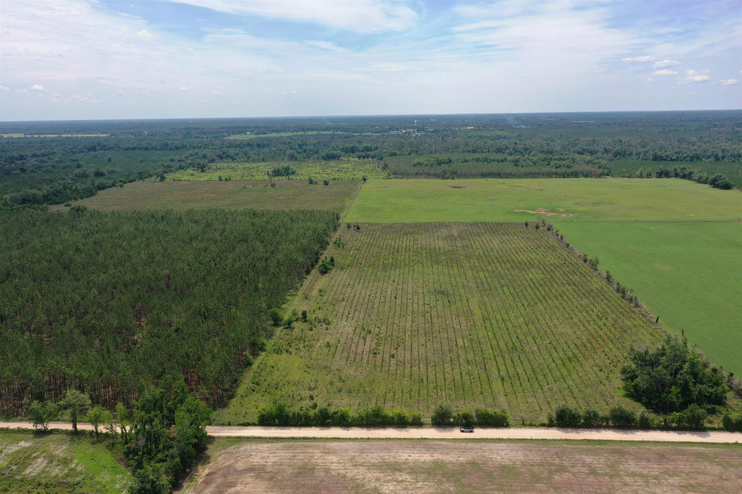 Southwest 86th Boulevard Jasper, FL 32052 - Photo 6 of 15