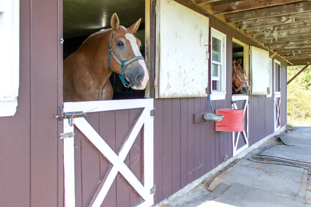 $850,000 | 372 Highway 105, Charleston, VT 05872