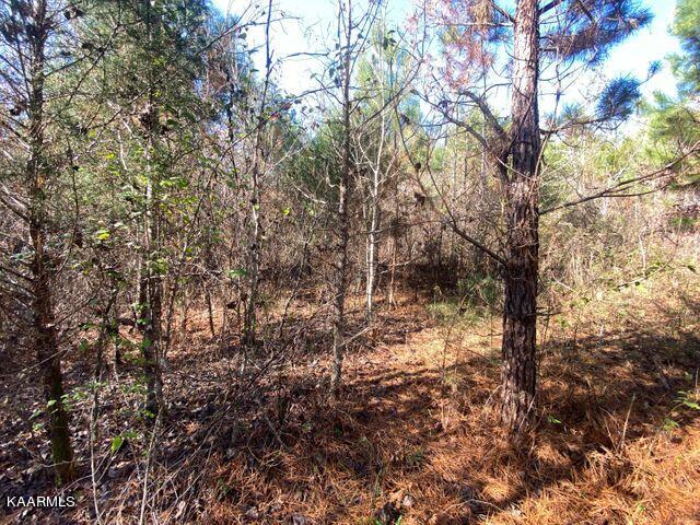 40 Athens Road Delano, TN 37325 - Photo 18 of 37 tract 40 f 3