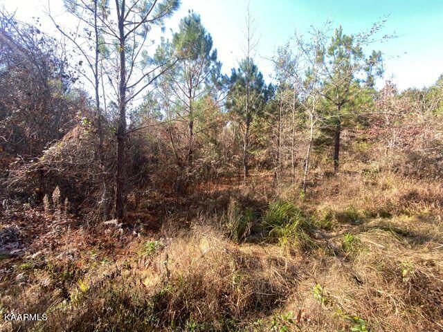 40 Athens Road Delano, TN 37325 - Photo 24 of 37 tract 40 field