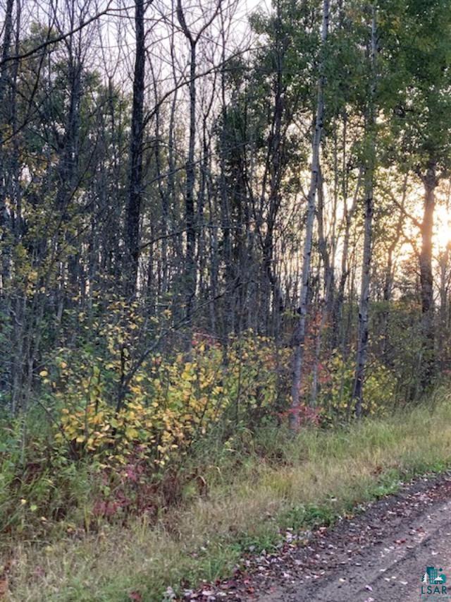 Xxxx Cemetery Road Cotton, MN 55724 - Photo 8 of 14 Gallery Image 8