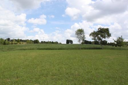 6881 South Osborne Road Greenbrier, TN 37073 - Photo 20 of 20