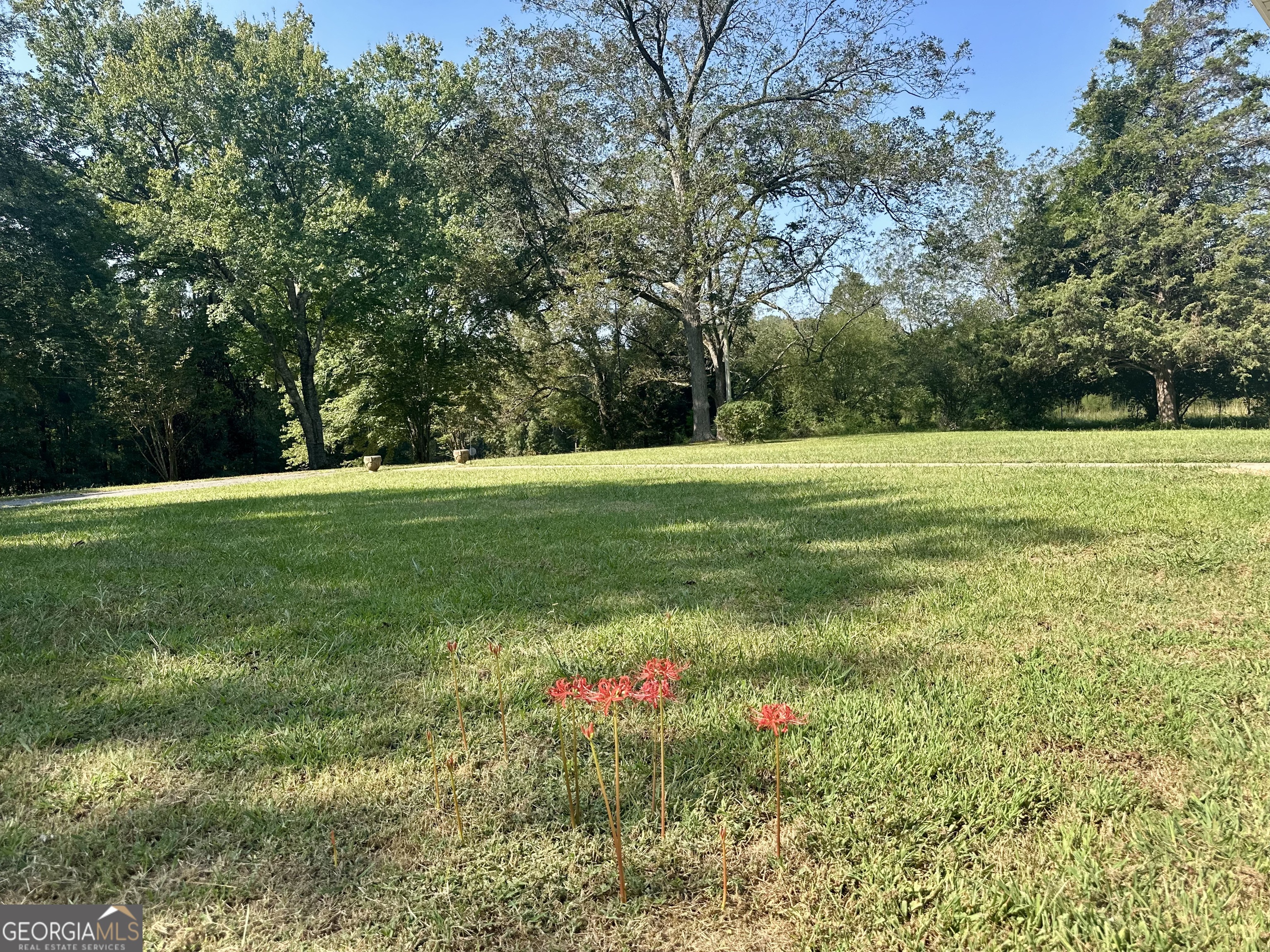 1860 Washington Highway Union Point, GA 30669 - Photo 2 of 24