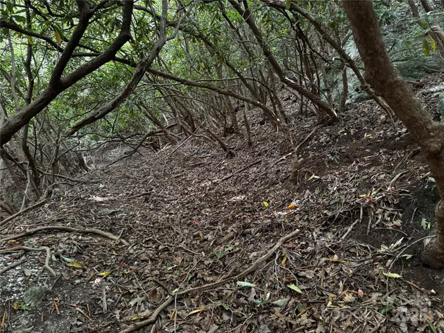 $109,900 | 45 Windy Hollow Lane, Newland, NC 28657