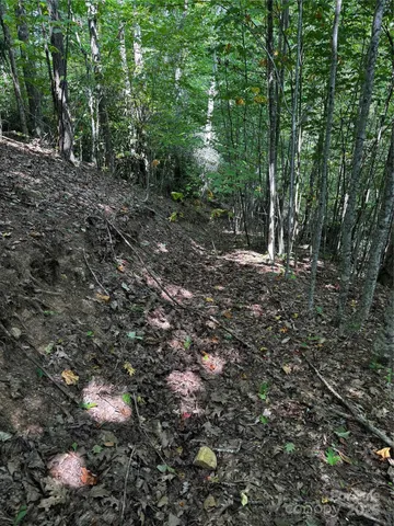 $109,900 | 45 Windy Hollow Lane, Newland, NC 28657