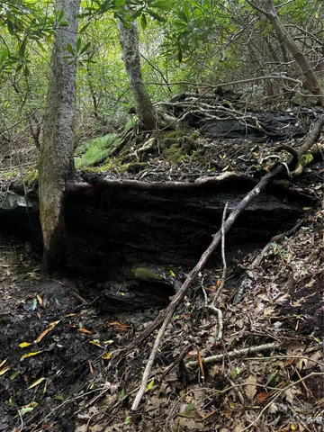 $109,900 | 45 Windy Hollow Lane, Newland, NC 28657