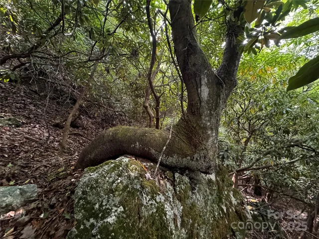 $109,900 | 45 Windy Hollow Lane, Newland, NC 28657