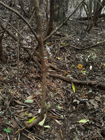 $109,900 | 45 Windy Hollow Lane, Newland, NC 28657