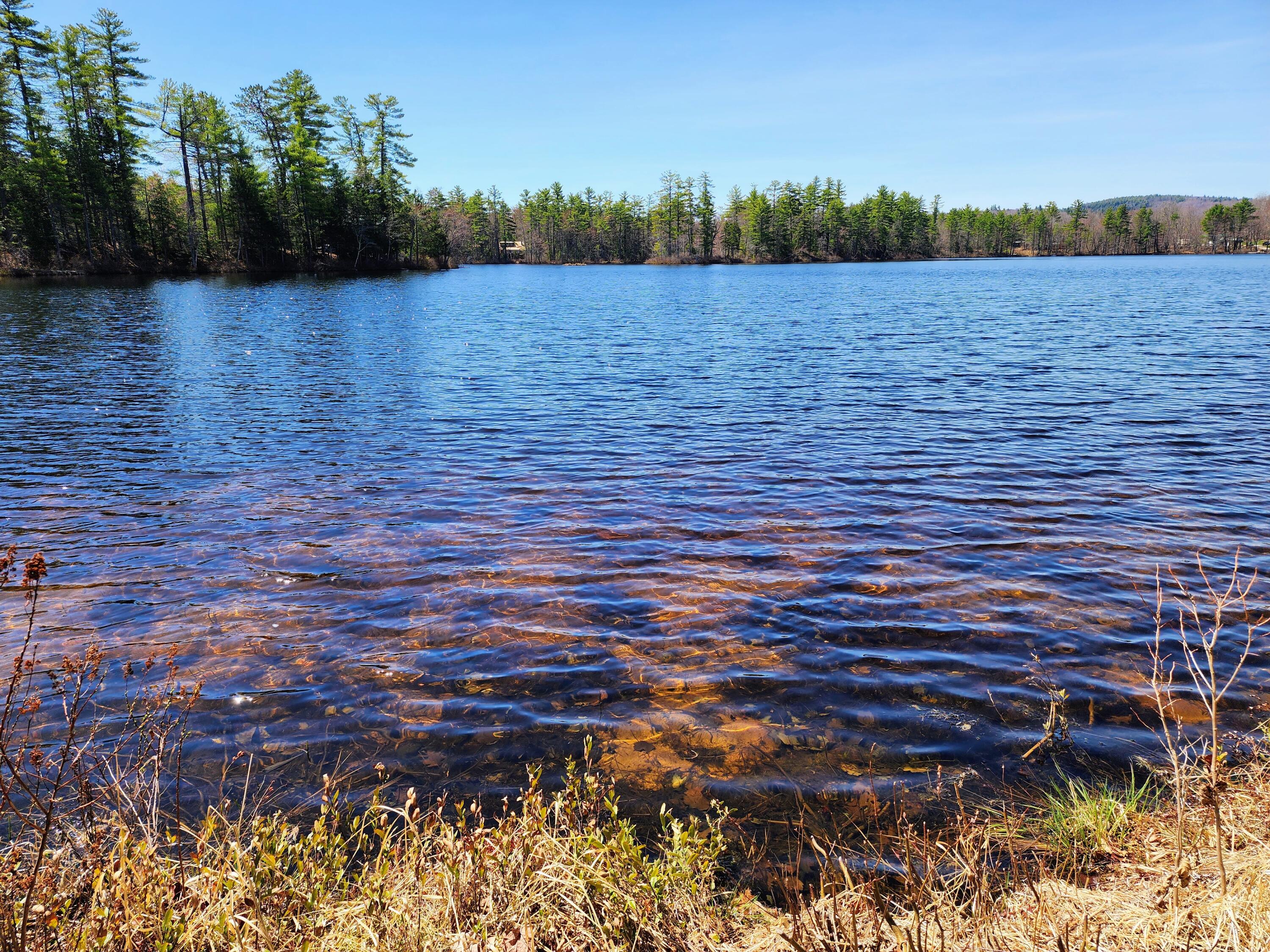 48 Jewett Pond Road Waterford, ME 04088 - Photo 13 of 43 14