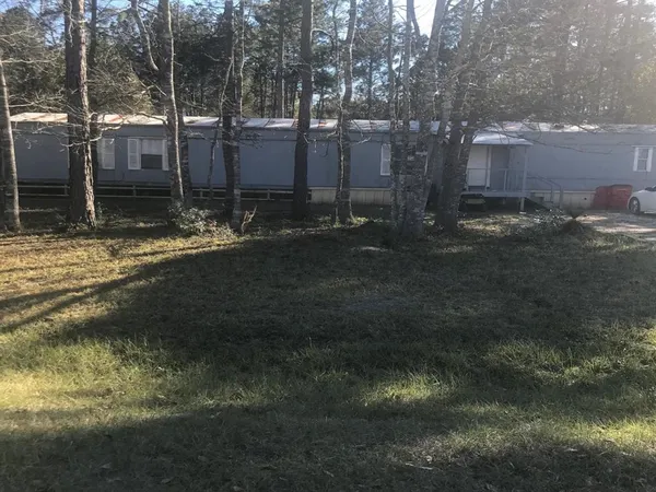 a view of a yard